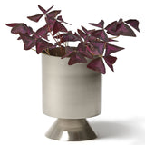 "Palm Springs" Planter - Small