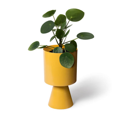 "Palm Springs" Planter - Medium