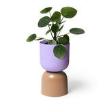 "Two-Tone" Planters