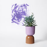 "Two-Tone" Planters