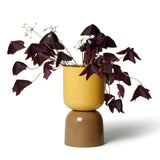 "Two-Tone" Planters