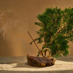 Incense - Taiwanese Hinoki