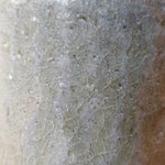 Timna Taylor - Mug #4 - August 2023 ("Lichen Green")