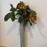 Wall Vase - Kohiki - Thin - Long