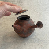 Japanese Teapots - "Near & Far" 2023