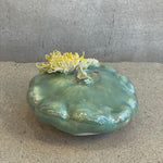 "Squash With Flowers" Sculpture - "Fantastic Garden" - June 2024