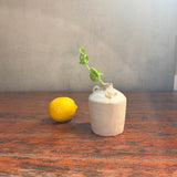 Bottle Vase | Small #07 - White