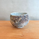 Chawan (Tea Bowl) #02 - Wild Porcelain