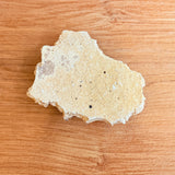 Torn Plate #01 - Wild Porcelain - Small
