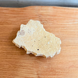 Torn Plate #01 - Wild Porcelain - Small