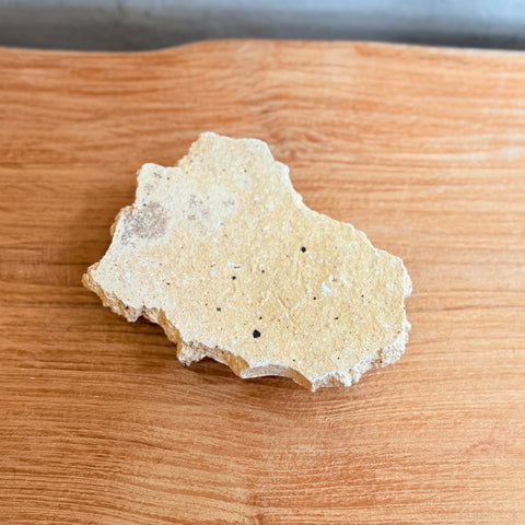 Torn Plate #01 - Wild Porcelain - Small