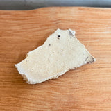 Torn Plate #02 - Wild Porcelain - Small