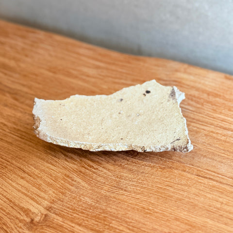 Torn Plate #02 - Wild Porcelain - Small