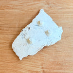 Torn Plate #02 - Wild Porcelain - Small
