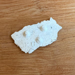 Torn Plate #03 - Wild Porcelain - Small