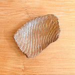 Spiral Plate #01 - Medium
