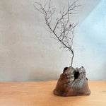 Bizen Vase #01 - Medium