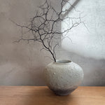 Rounded Jar - Wild Porcelain & Celadon - Medium