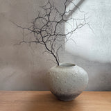 Rounded Jar - Wild Porcelain & Celadon - Medium
