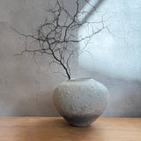 Rounded Jar - Wild Porcelain & Celadon - Medium