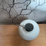 Rounded Jar - Wild Porcelain & Celadon - Medium