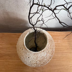 Tall Jar - Wild Porcelain - Medium