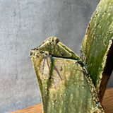 Oribe Sculptural Vase - Short