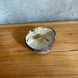 Guinomi (Sake Cup) - Wild Porcelain