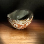 Guinomi (Sake Cup) - Wild Porcelain