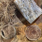 "Presence" Incense Plank - Sandalwood & Vetiver Root