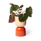 "Two-Tone" Planters