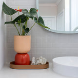 "Two-Tone" Planters