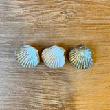 Condiment / Jewellery Dishes - Shell-Shaped