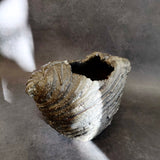 Kazuya Ishida - Ripple Vase (Small) #1, 2023