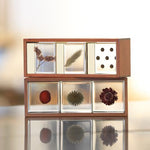Sola Cube - Wood & Brass Display Case