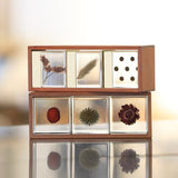 Sola Cube Display Case - Wood & Brass - 3 Cube