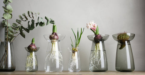 Kinto - Aqua Culture Vase