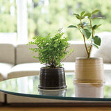 Kinto - Plant Pots - Ceramic