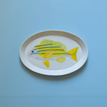 Casa Adams - Blue-Stripe Snapper - "Marine Biodiversity" Series