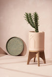 Capra Designs Cork Planter Stand