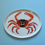 Casa Adams - Christmas Island Red Crab - "Marine Biodiversity" Series