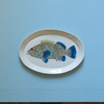 Casa Adams - Eastern Wirrah - "Marine Biodiversity" Series