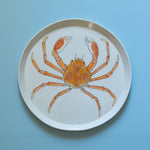 Casa Adams - Giant Spider Crab - "Marine Biodiversity" Series