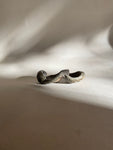 Neil Hoffman - Folded, Double Bowl