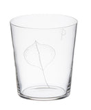 Engraved Glass Tumblers