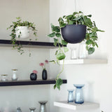 Kinto - Plant Pots - Hanging