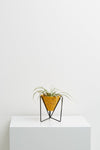 Capra Designs "Terrazzo Minimo" Plant Stand & Pot