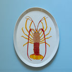 Casa Adams - Southern Rock Lobster- "Marine Biodiversity" Series