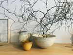 Tetsuya Ozawa - Rounded Bowls