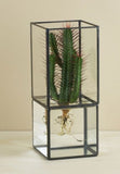10 Cactus Vase